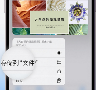 托克逊apple维修中心分享iPhone文件应用中存储和找到下载文件