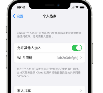 托克逊apple服务站点分享iPhone上个人热点丢失了怎么办 