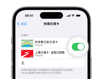 托克逊apple维修点分享iPhone上更换Apple Pay快捷交通卡手绘卡面 