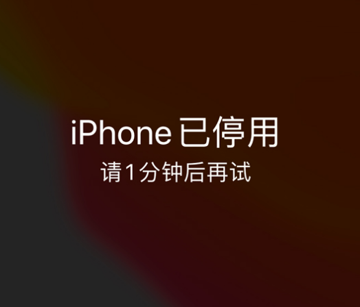 托克逊苹果手机维修分享:iPhone 显示“不可用”或“已停用”怎么办？还能保留数据吗？ 