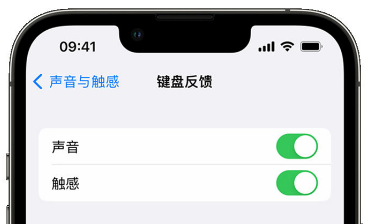 托克逊苹果手机维修分享iPhone 14触感键盘使用方法 