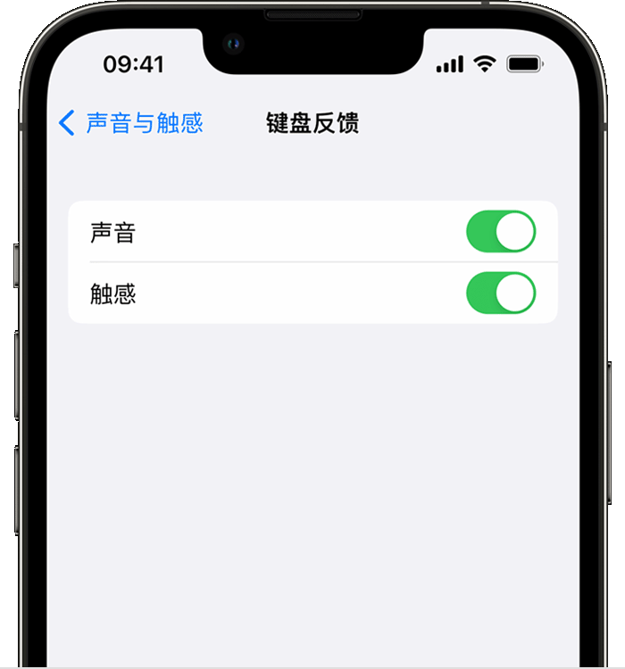 托克逊苹果14维修店分享如何在 iPhone 14 机型中使用触感键盘 