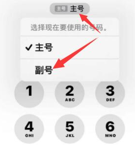 托克逊苹果14维修店分享iPhone 14 Pro Max使用副卡打电话的方法 