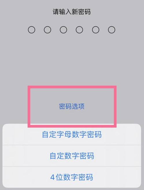 托克逊苹果14维修分享iPhone 14plus设置密码的方法 