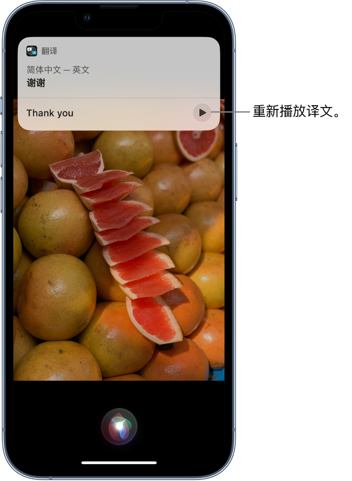 托克逊苹果14维修分享 iPhone 14 机型中使用 Siri：了解 Siri 能帮你做什么 