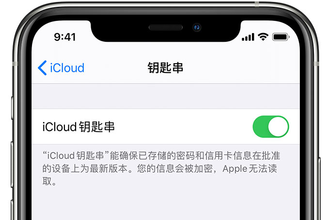 托克逊苹果手机维修分享在 iPhone 上开启 iCloud 钥匙串之后会储存哪些信息 