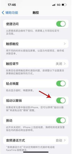 托克逊苹果手机维修分享iPhone手机如何设置摇一摇删除文字 